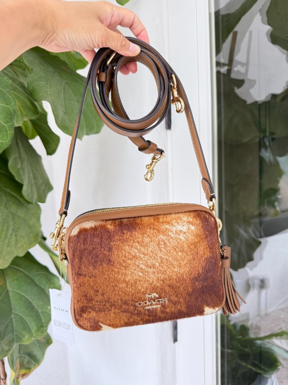 Coach Mini Carey Crossbody Bag In Haircalf With Cow Print CEK71 Gold/Cow Multi